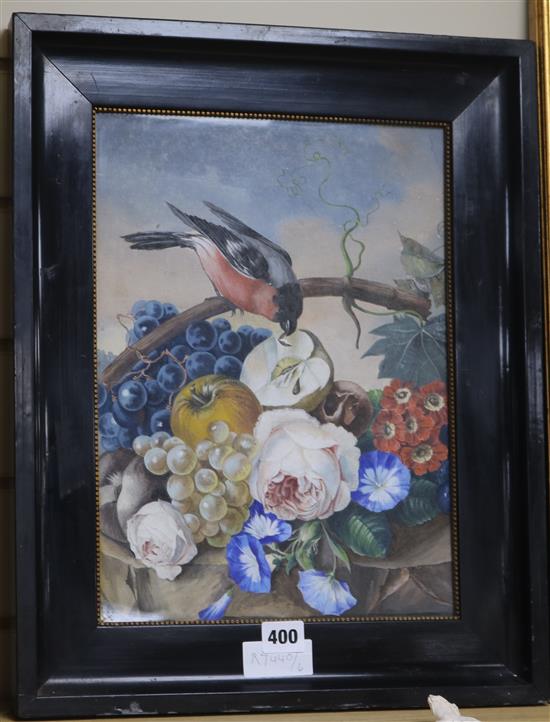 19th century English School, watercolour, Bullfinch, fruit and flowers, 36 x 26cm